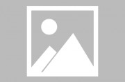 范布隆克霍斯特谈下课：若给我更多时间，我能培养出有潜力的球队